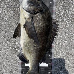 イチノ兄弟、釣果！