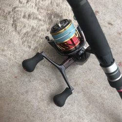 マイクロジグでガシラGET