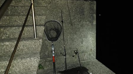 カマス用ルアーにシーバス喰ってきた。