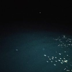 イカメタル＆バチコン2