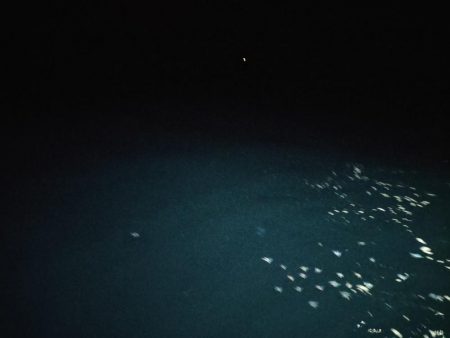 イカメタル＆バチコン2