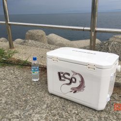 ドン!ときました!