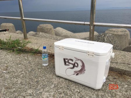 ドン!ときました!