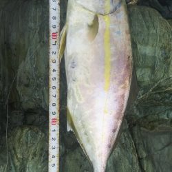 遠投マウスの実力