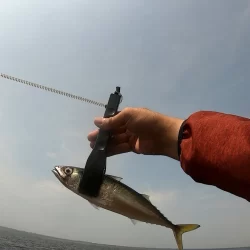 夢洲スリットへライトショアジギング