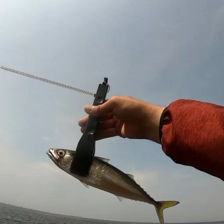 夢洲スリットへライトショアジギング