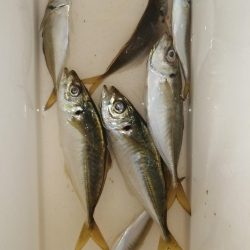 まだまだ厳しく