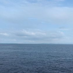 タコを求めて20時間