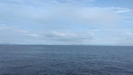 タコを求めて20時間