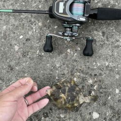 爆釣のファミリーフィッシング　