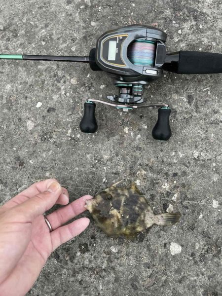 爆釣のファミリーフィッシング　