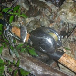 スピナーベイトで