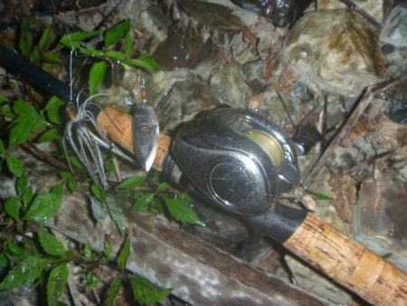 スピナーベイトで