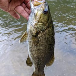 朝イチ トップ勝負