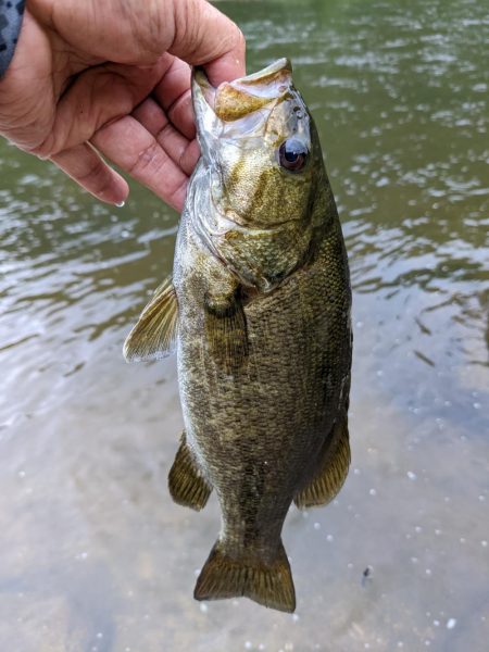 朝イチ トップ勝負
