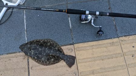 タチウオ後ショアジギ