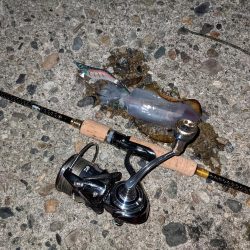 newロッド墨付け！