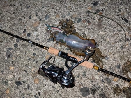 newロッド墨付け！