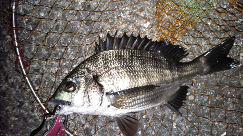 低酸素の中の年無しゲット