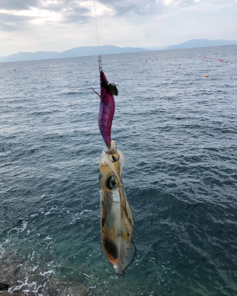 コロッケあがりました