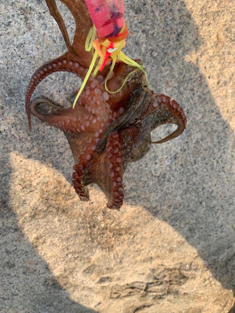 来週は、どうなるやろ。