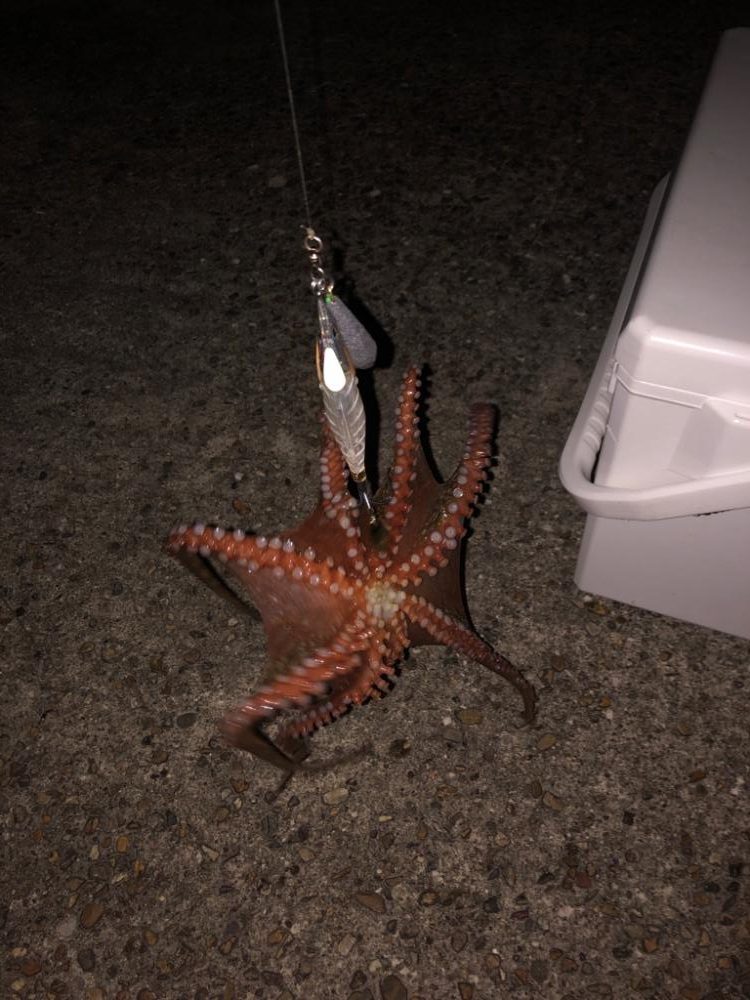 リベンジマッチ！