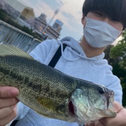 紀の川バス釣り爆釣