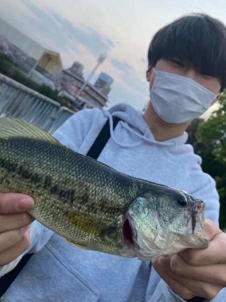 紀の川バス釣り爆釣