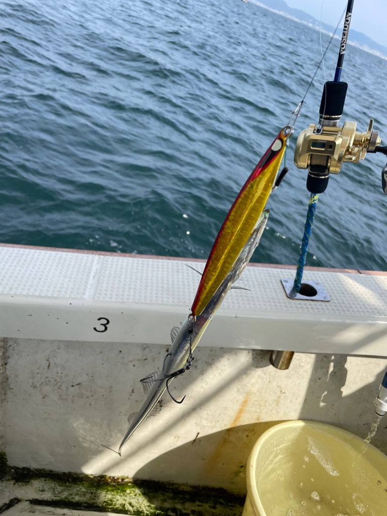 須磨沖タチウオジギング
