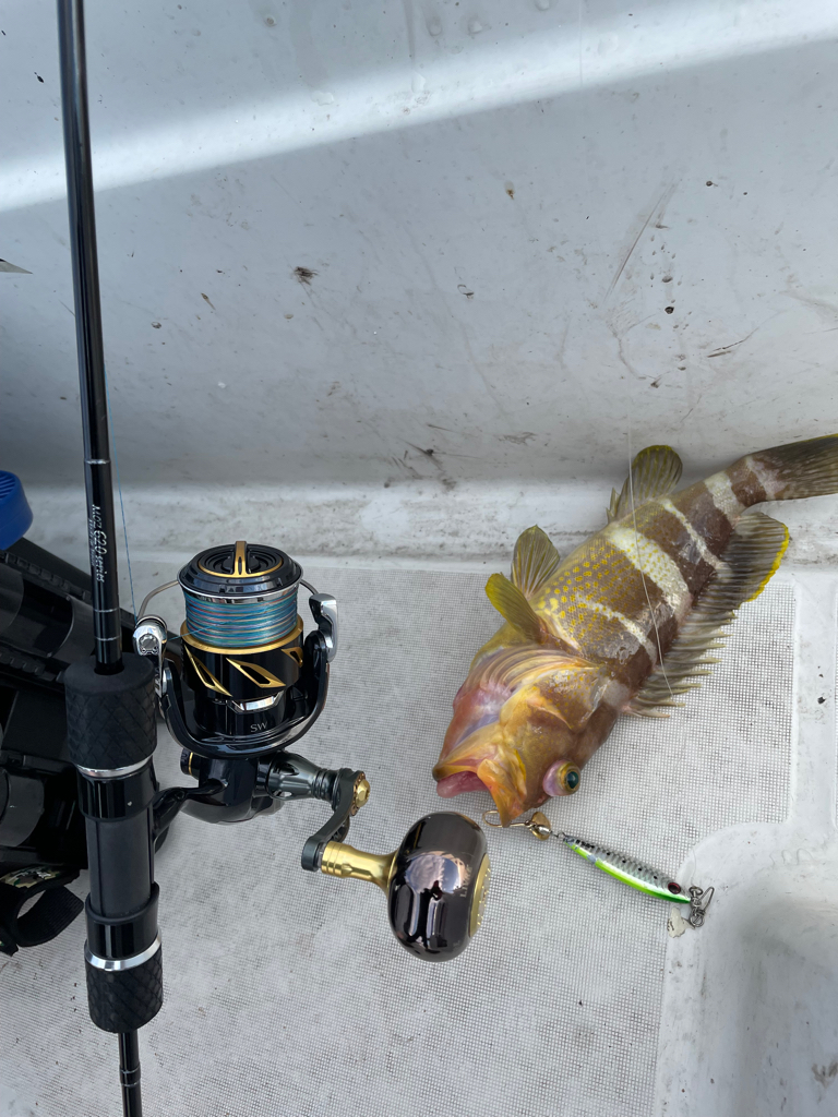 ウミックレンタルボートでの釣果