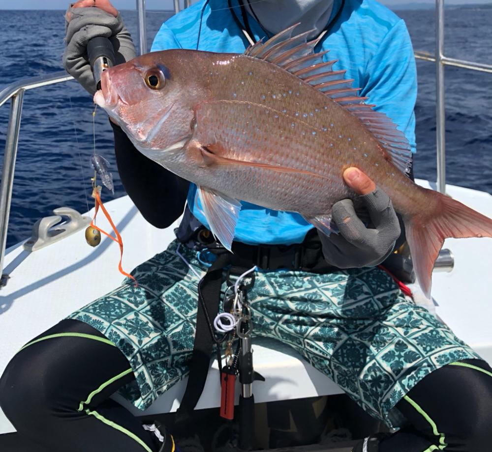 SLJ &タイラバ。リレーで多種の引き！