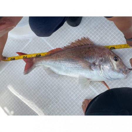 タイラバ＆ジギングリレー便