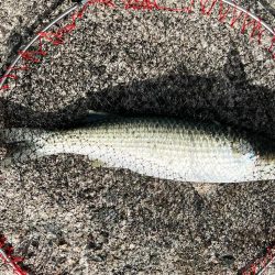 狙い通りなんですよ？