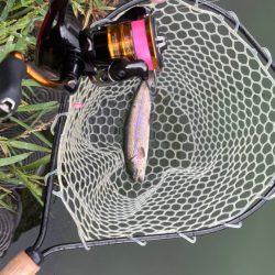 王禅寺サブロー池にて