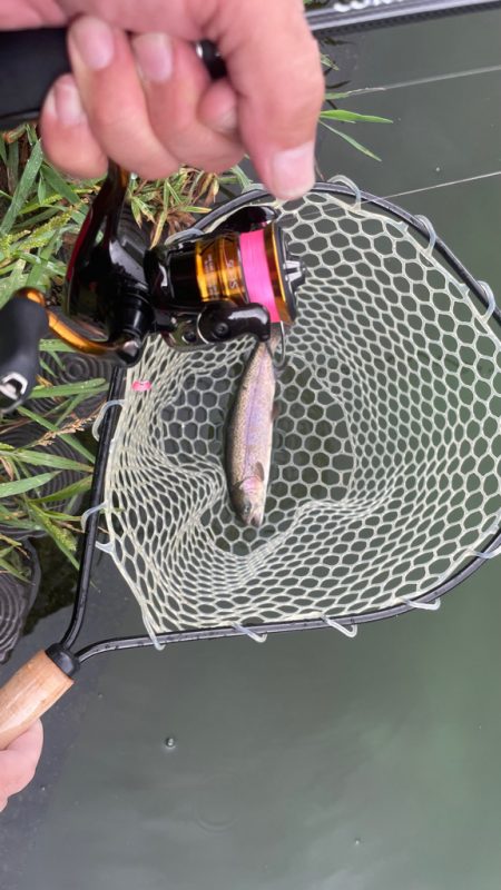 王禅寺サブロー池にて