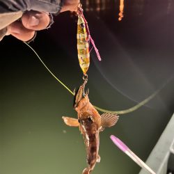 夜間オフショア