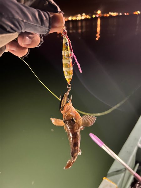 夜間オフショア