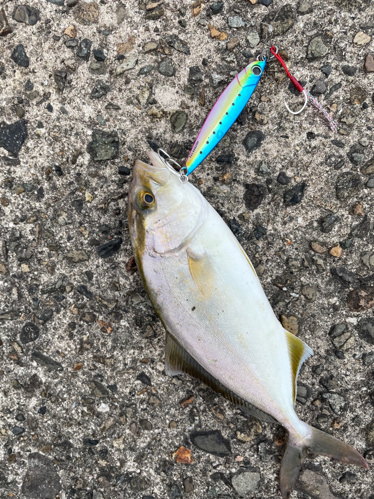 爆風のショアジギング