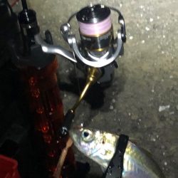 少しサイズアップ