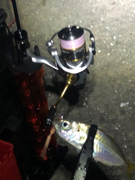 少しサイズアップ