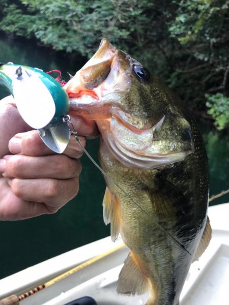 ロケーション最高なダム❣&#…