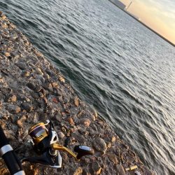 ショアジギング