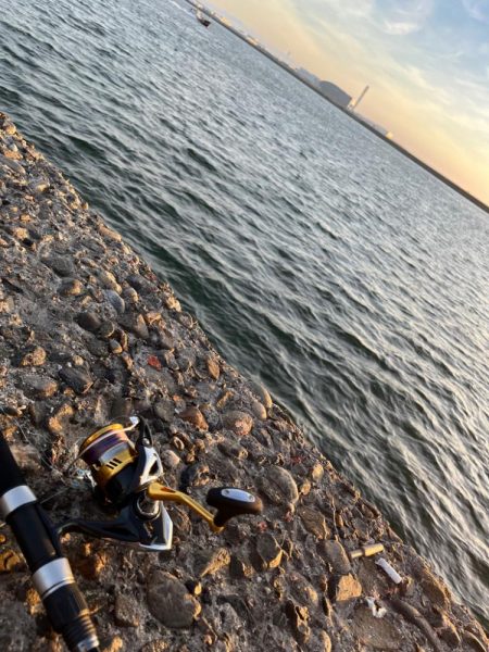 ショアジギング