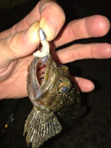 涼しい早朝にトリプルクロスでライトロック！