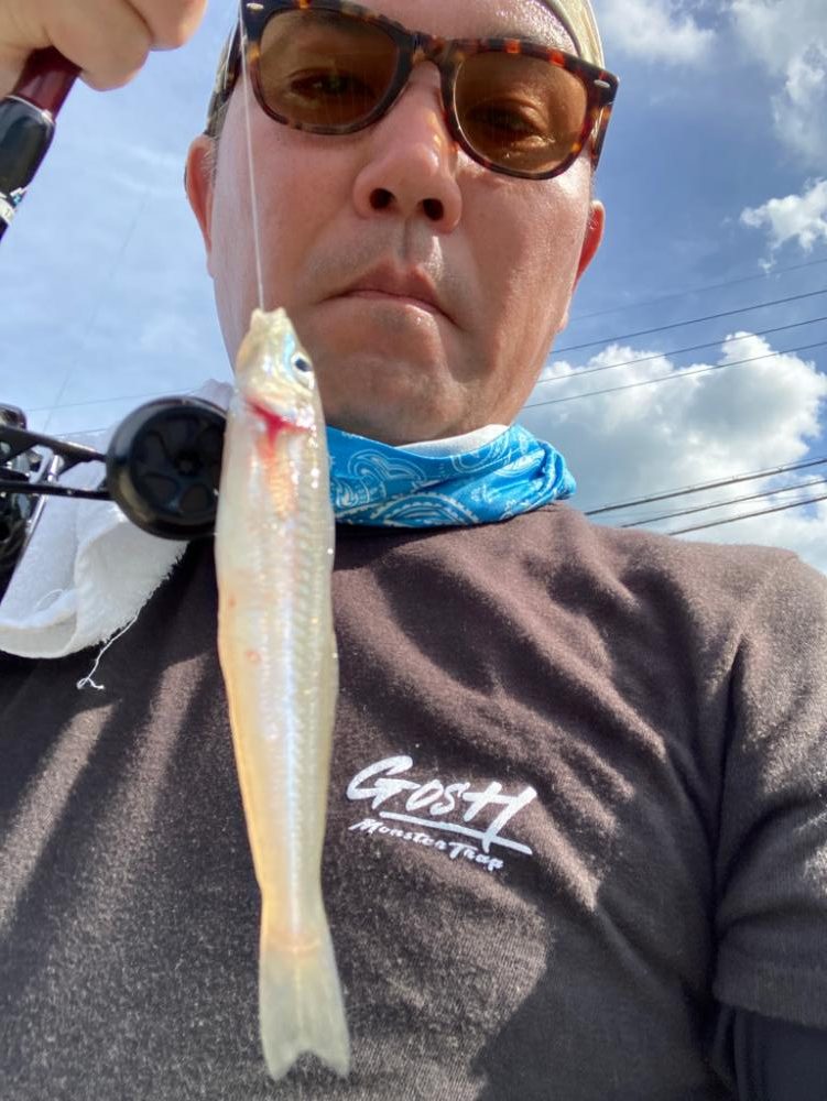 ベイトタックルでキスゲーム