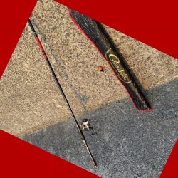 続けてがまかつ円錐ウキを使ってフカセ釣り