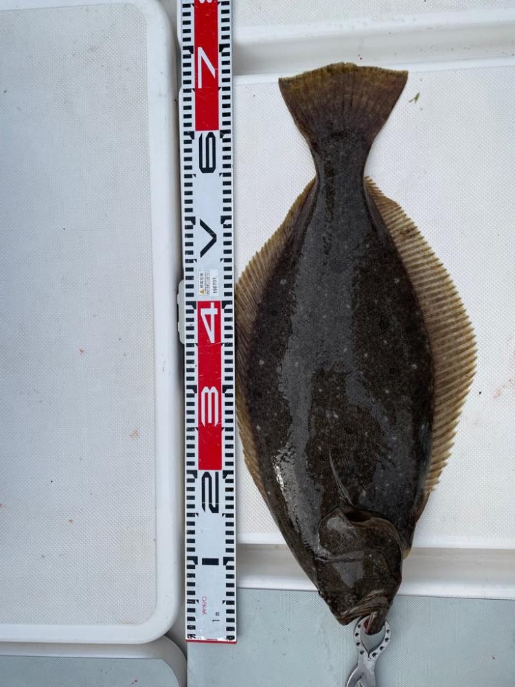 久しぶりのオフショア釣行！