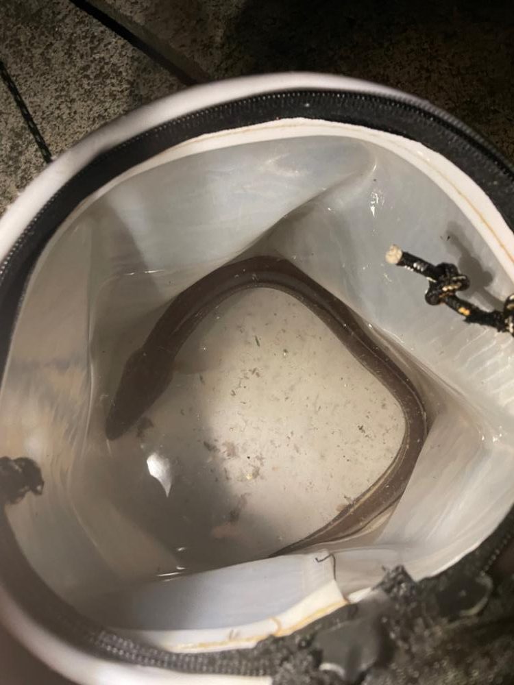 いろいろ五目釣り