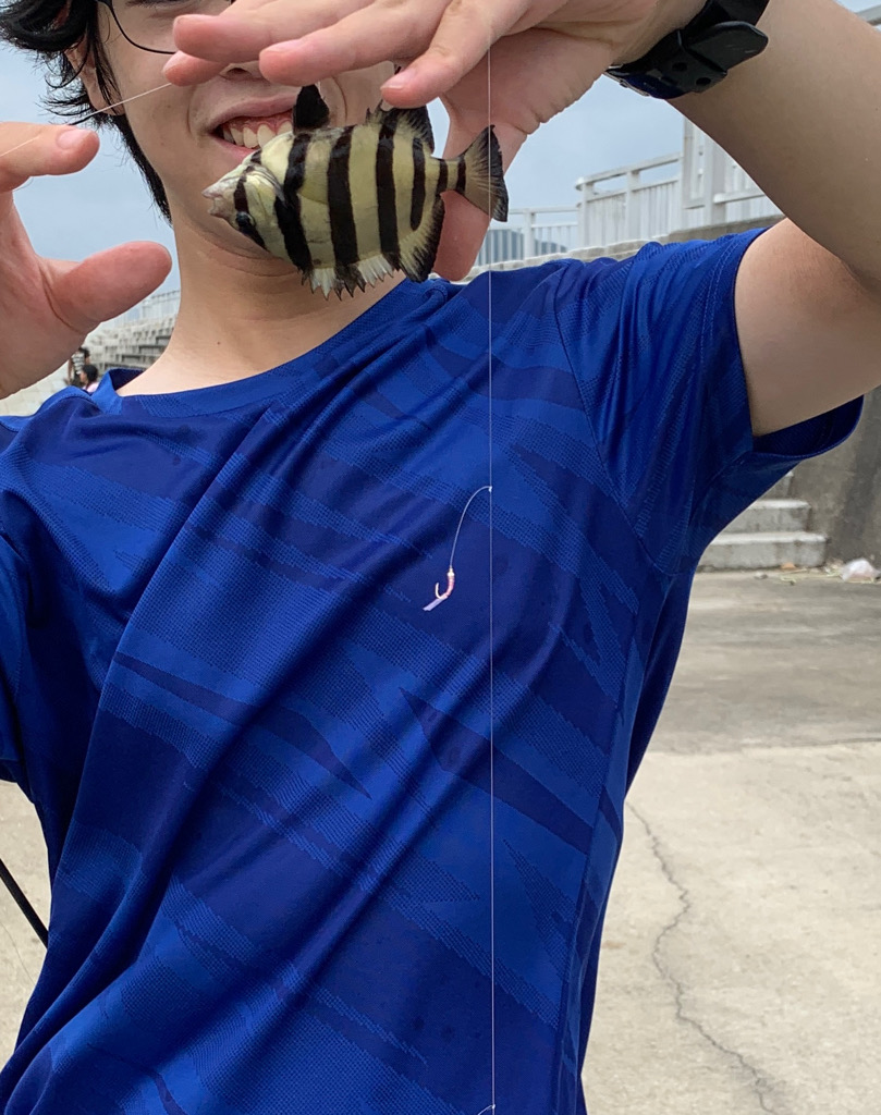 和歌山マリーナシティ大波止でタチウオ調査