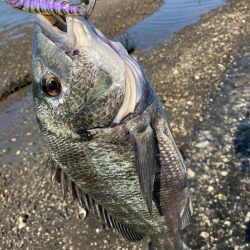 デイトップチニング